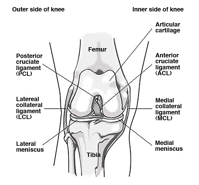 knee1.jpg